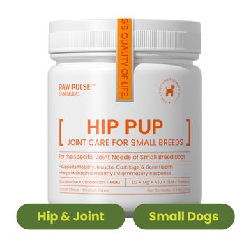 Hip Pup丨Hip & Joint Care for Small & Medium Dogs
