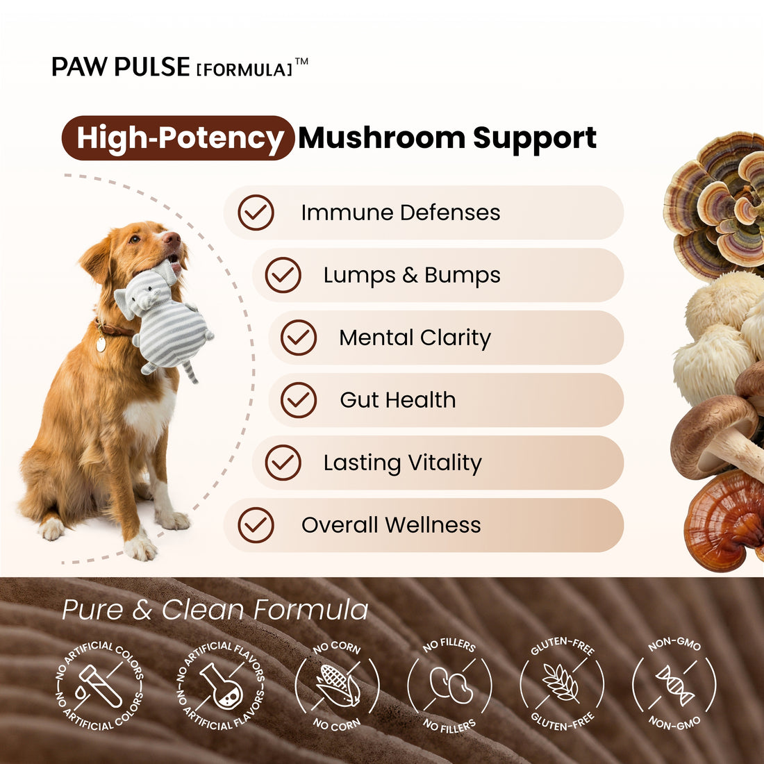 Mushroom immune support lipoma supplement for senior dogs Turkey Tail Reishi Lion's Mane