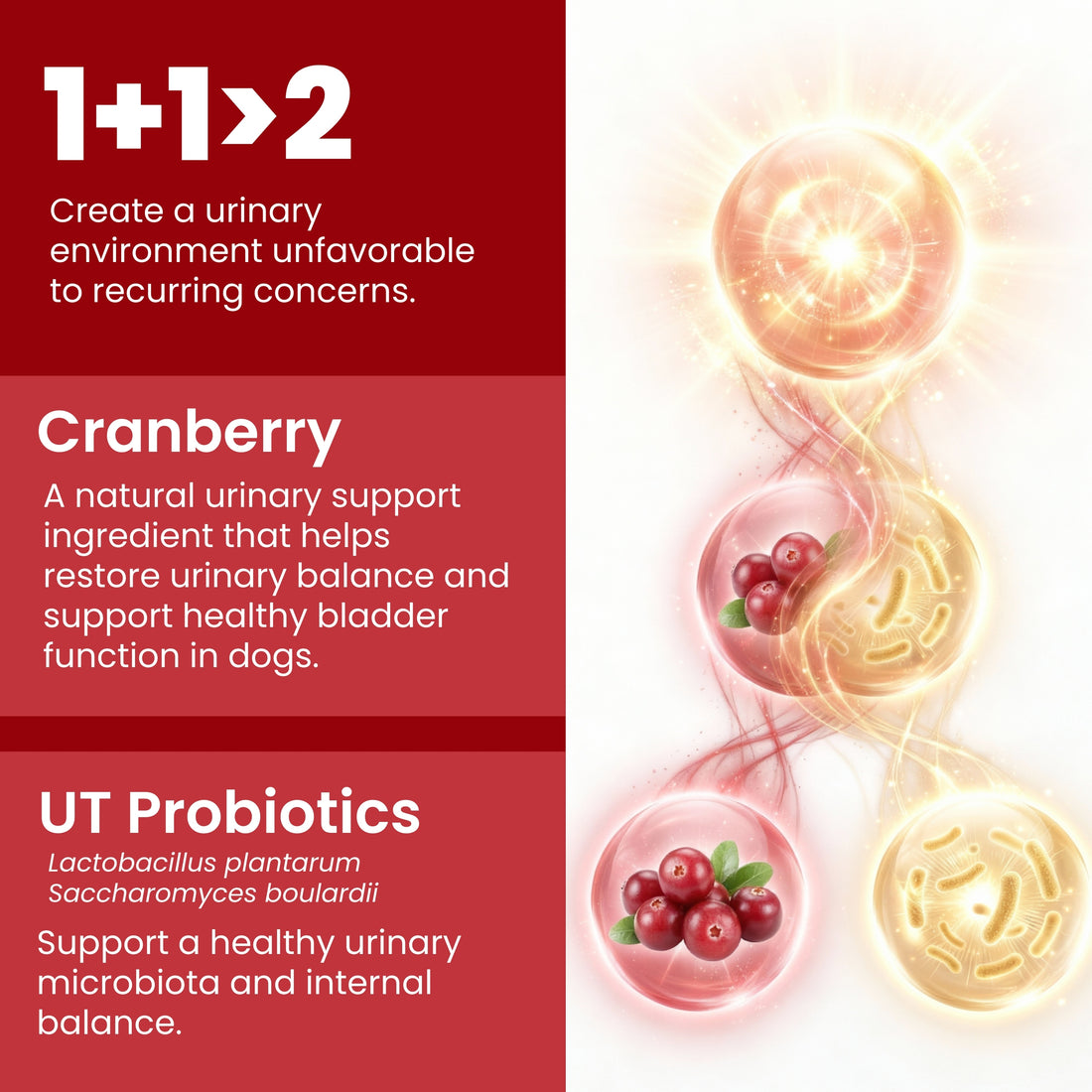 Urinary Tract | Cranberry for Dogs, Urinary Tract Support for UTI Health, Probiotics for Gut & Immune, 90 Chews