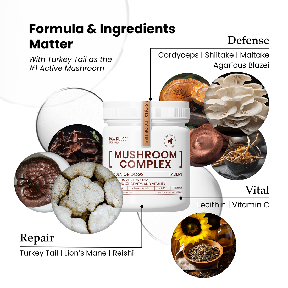 Mushroom Complex丨Immune Support Mushroom Complex for Senior Dogs