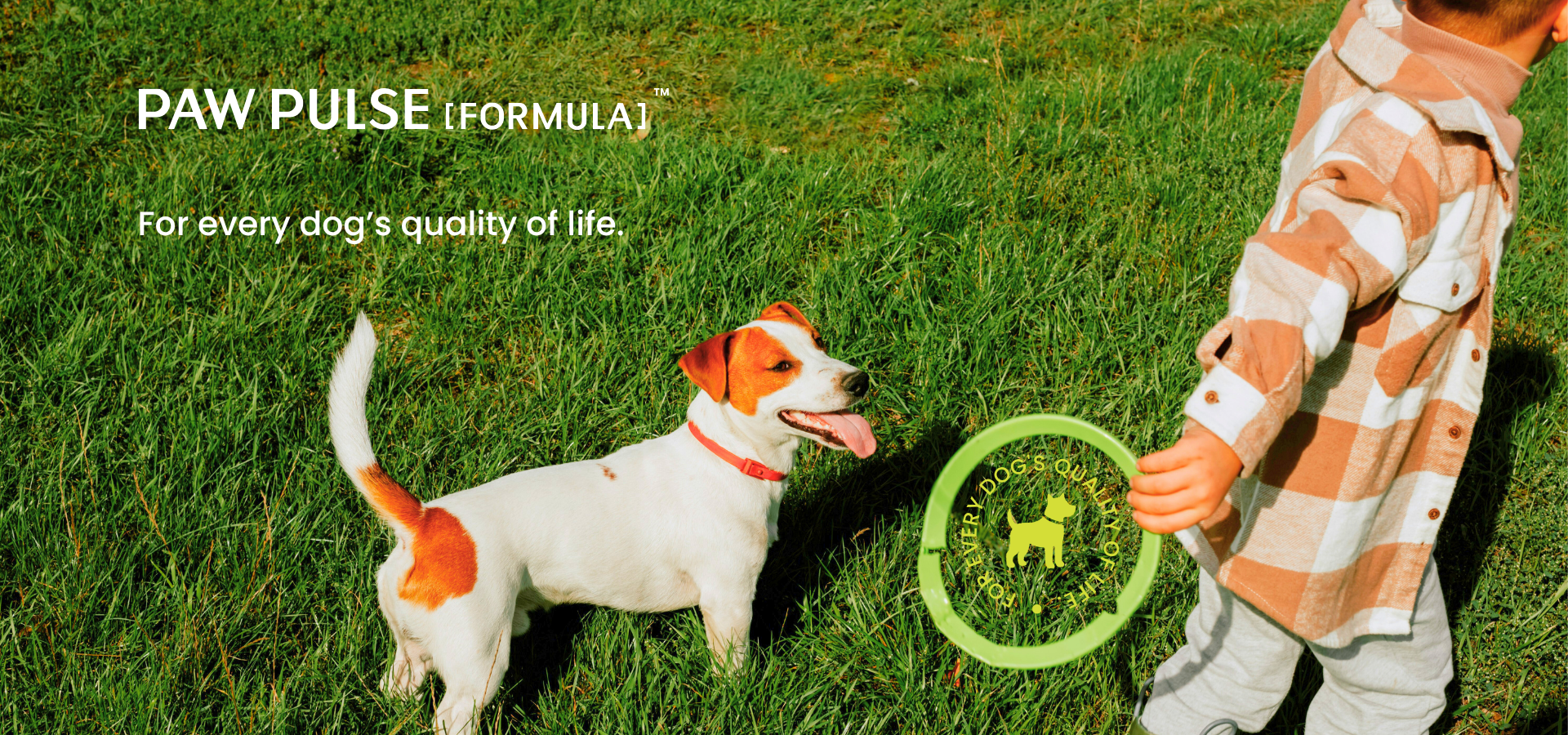 slider image slider_item_k6GcA3