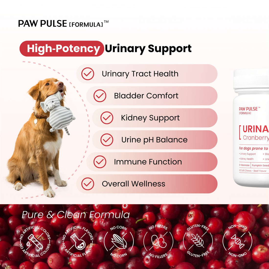 Urinary Tract | Cranberry for Dogs, Urinary Tract Support for UTI Health, Probiotics for Gut & Immune, 90 Chews
