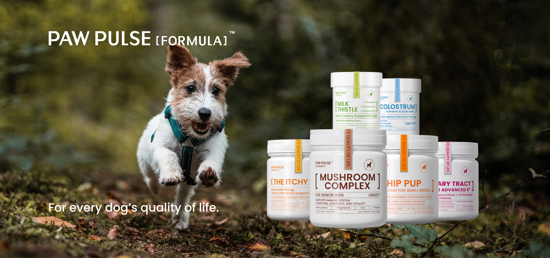 slider image slider_item_bjayez