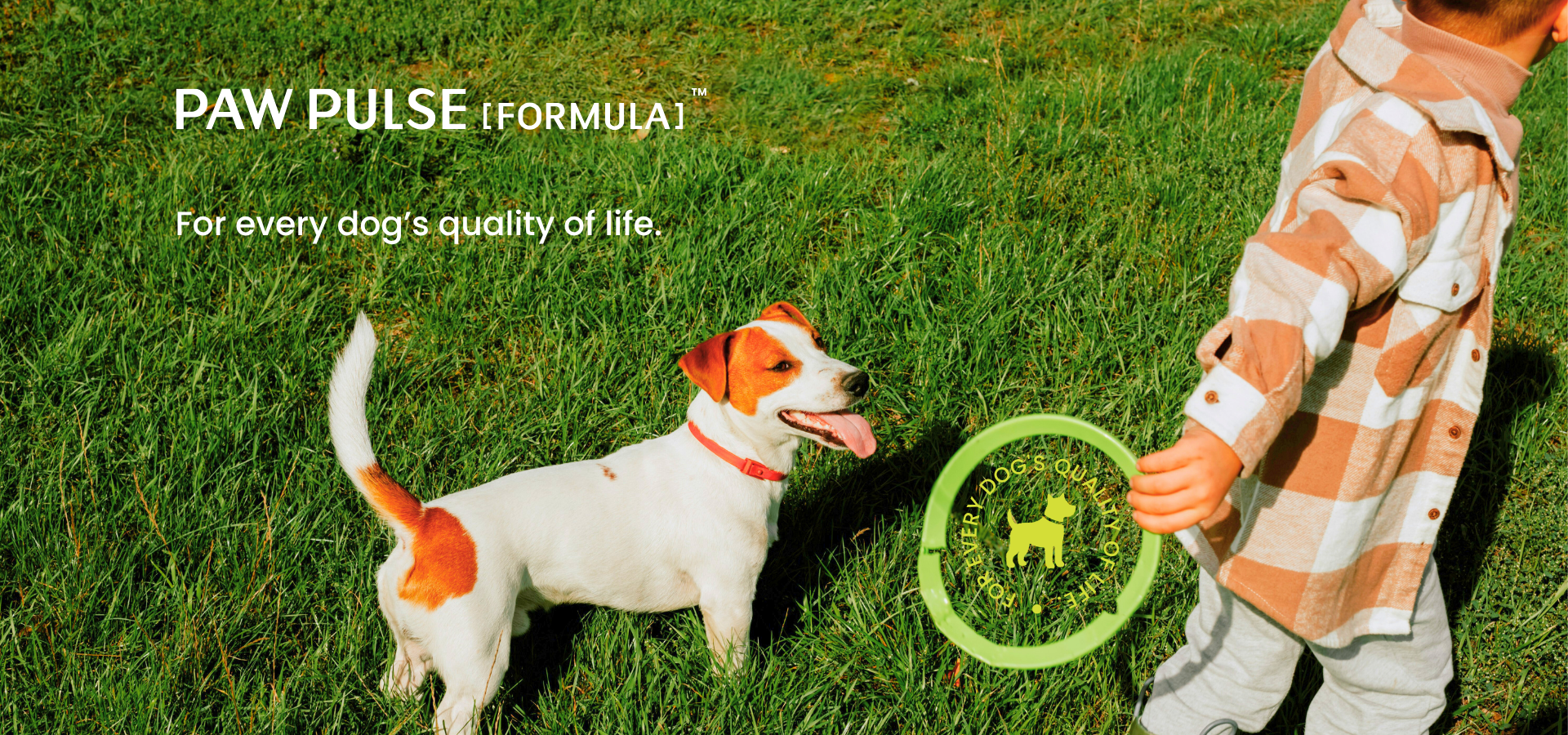Pawpulse Formula brand mission: promoting vitality and quality of life for dogs through active play and healthy care.slider_item_k6GcA3