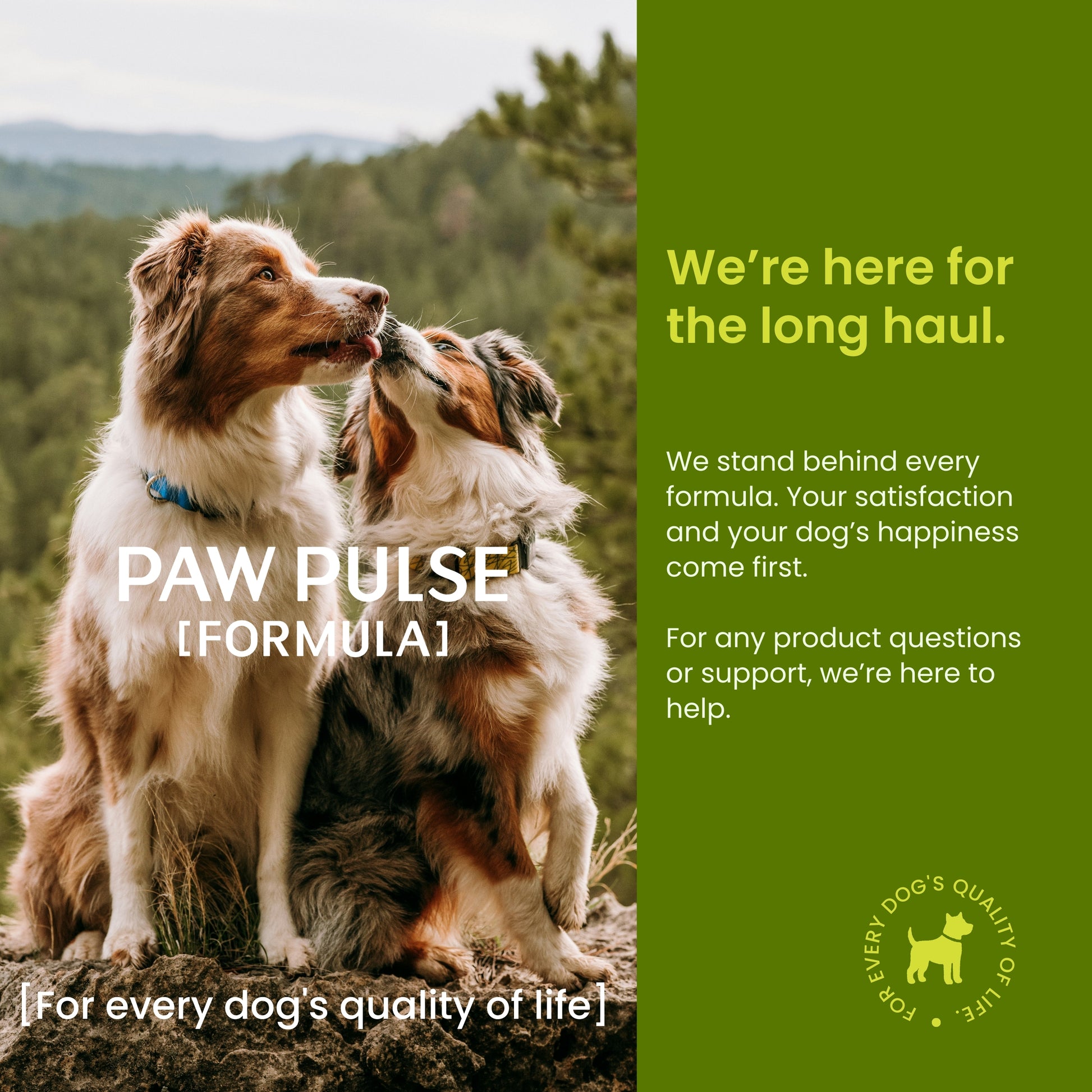Pawpulse Formula brand commitment to every dog's quality of life and long-term health support.