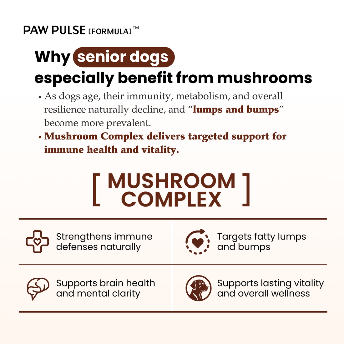Mushroom Complex丨Immune Support Mushroom Complex for Senior Dogs