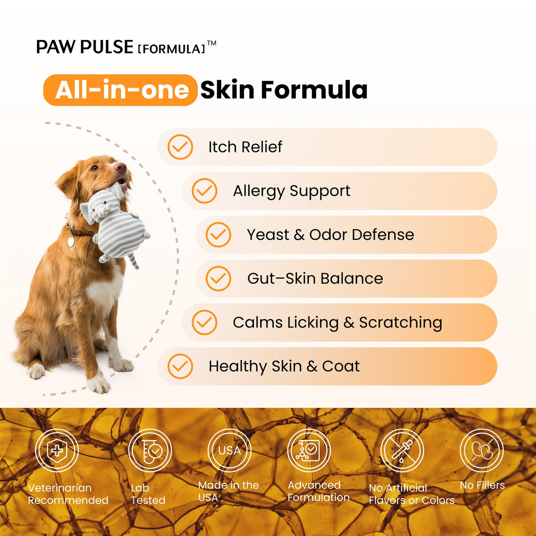 The Itchy One | Relieving Continuous Itchy Skin Discomfort in Dogs