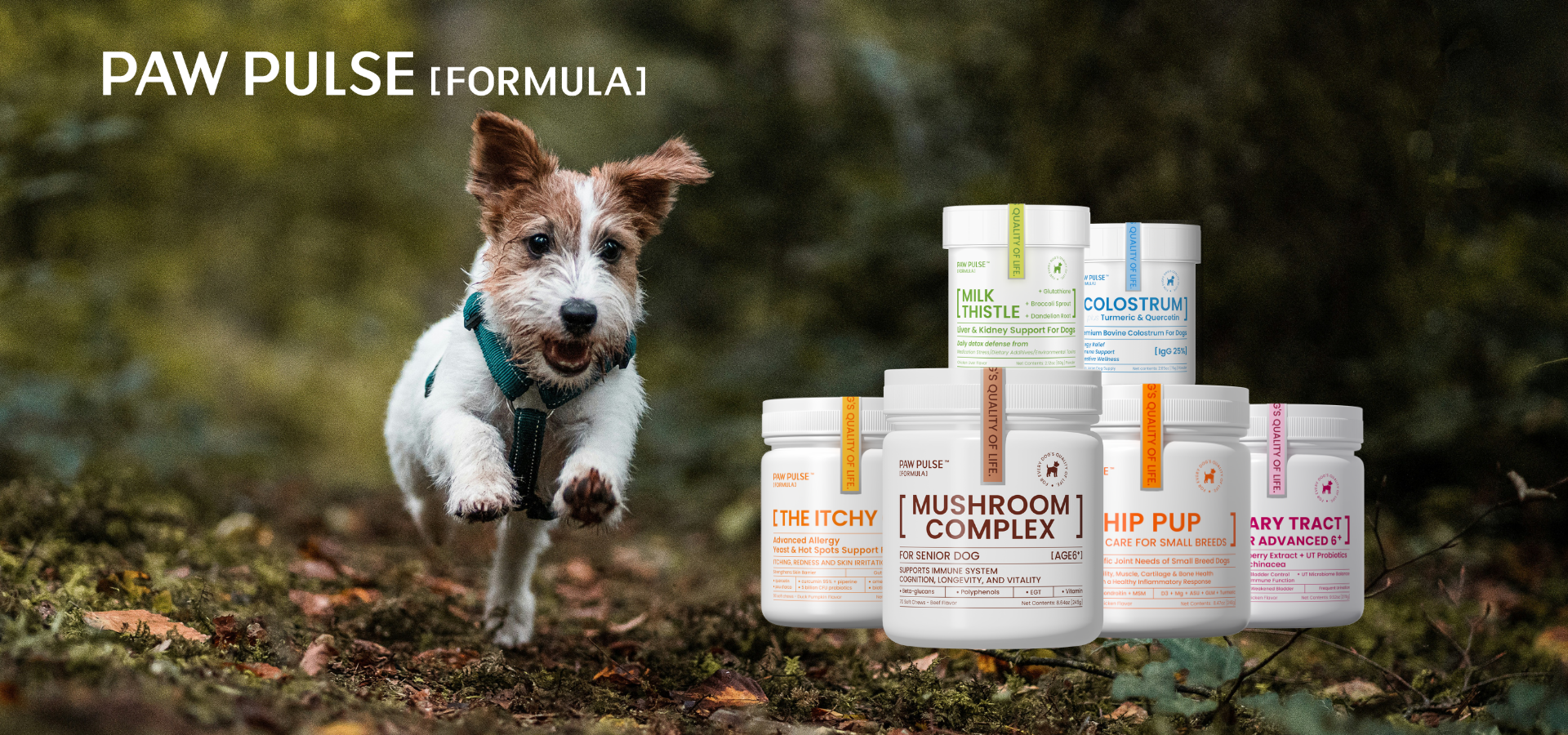 Pawpulse Formula range of premium dog supplements featuring Mushroom Complex, Milk Thistle, and Colostrum for dog health.slider_item_bjayez