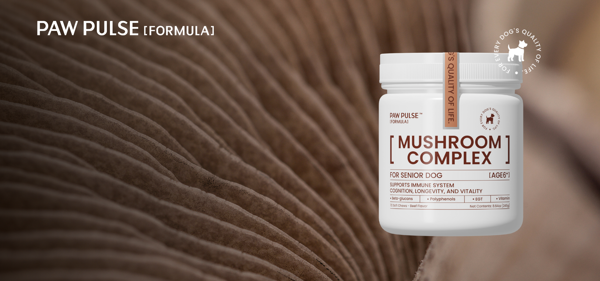 slider image slider_item_8zBLmJ