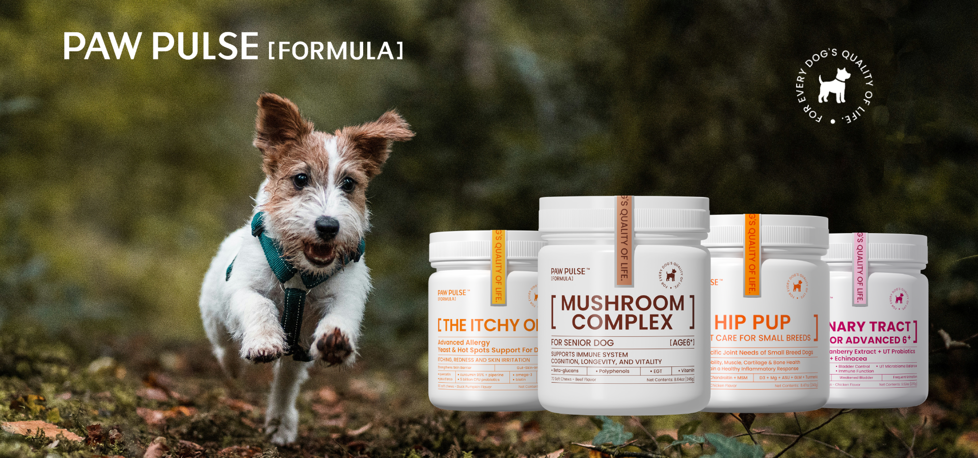 slider image slider_item_86DMBc