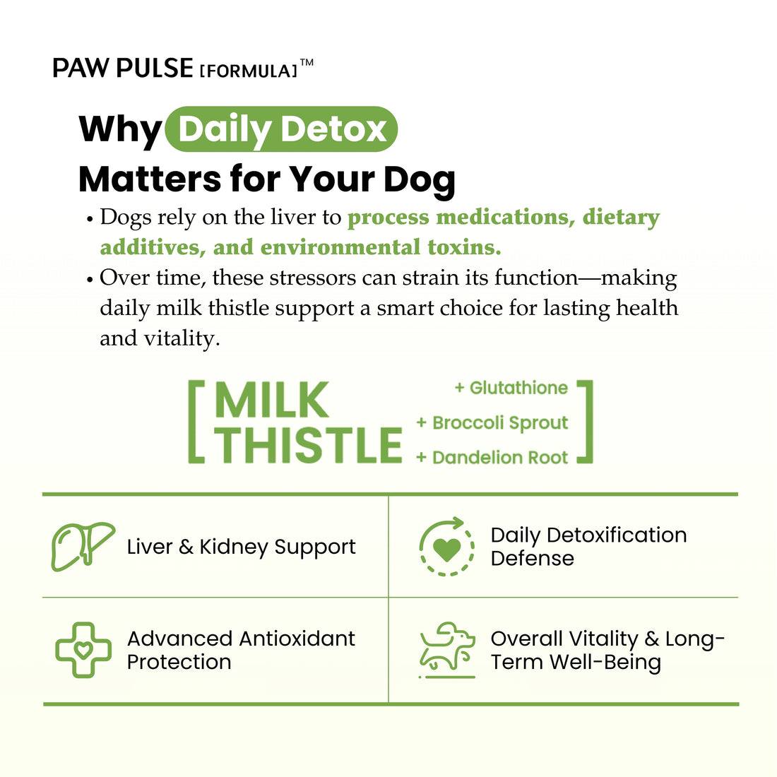 Pawpulse Formula Milk Thistle supplement for dogs, liver and kidney support powder with glutathione, broccoli sprout, and dandelion root.