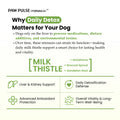 Why daily liver detox matters for dogs; Pawpulse Formula milk thistle with broccoli sprout and dandelion root supports immune, kidney, and metabolic function.