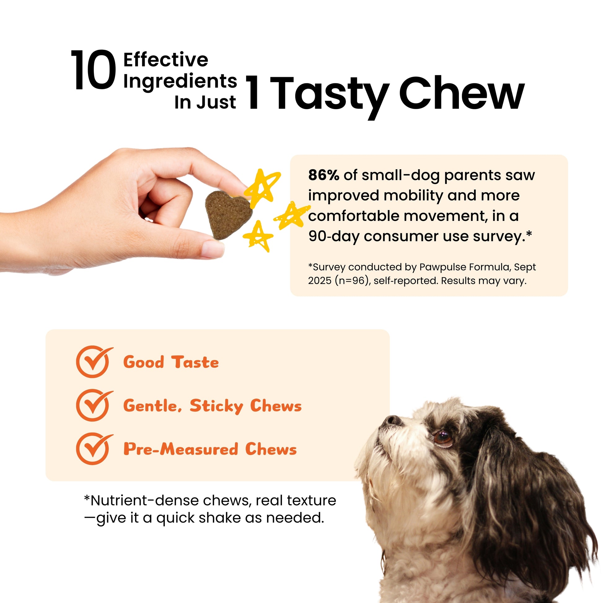 Pawpulse Formula daily joint supplement for small dogs: effective, pre-measured chews to improve canine mobility and support comfortable movement.