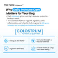 Pawpulse Formula daily immune care: colostrum, turmeric, and quercetin for dog allergy, skin, and digestive relief.
