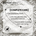Pawpulse Formula daily liver detox powder: all-natural kidney and antioxidant support for dog health.