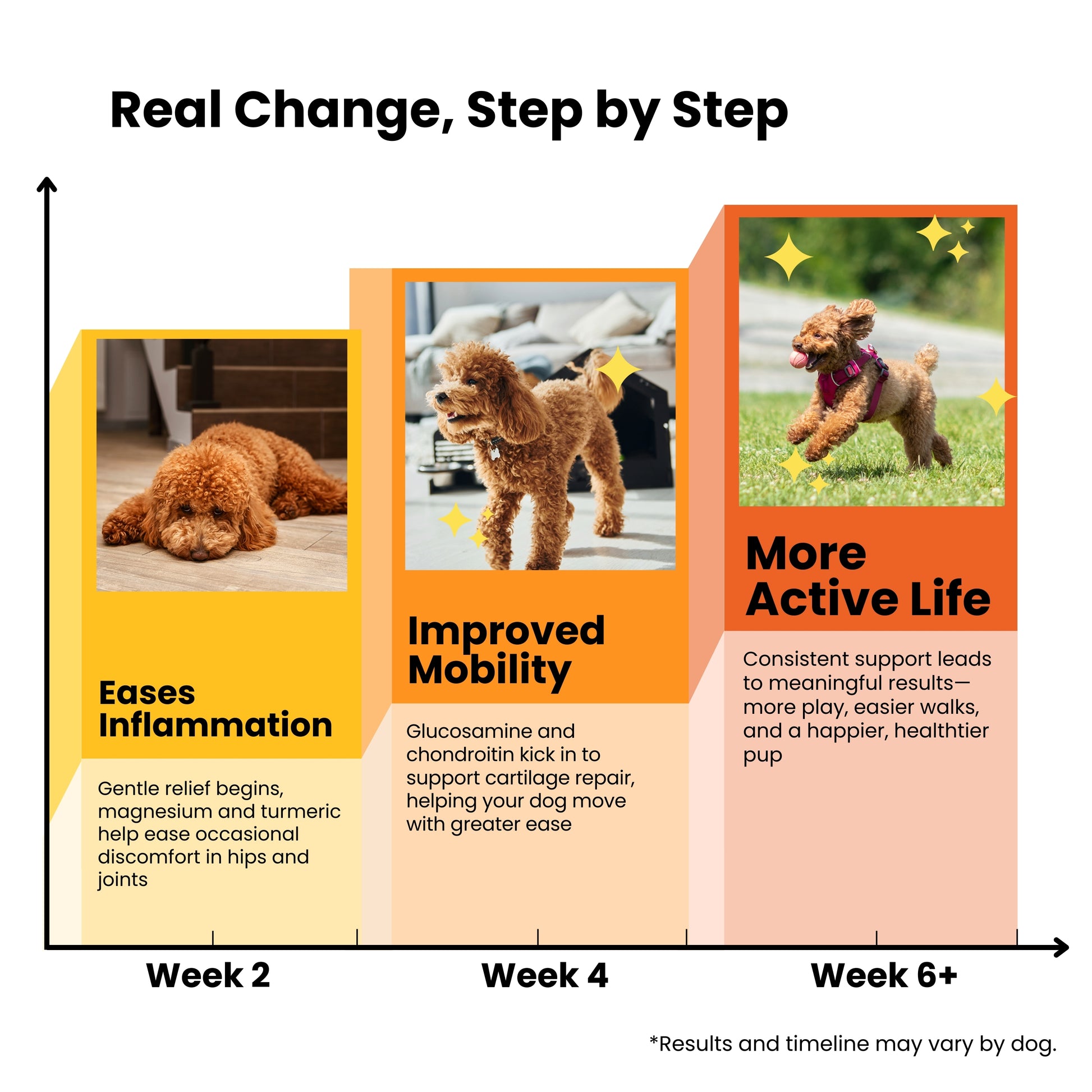 Dog joint health timeline: natural glucosamine and turmeric supplements for canine osteoarthritis relief, improved mobility, and long-term joint comfort.