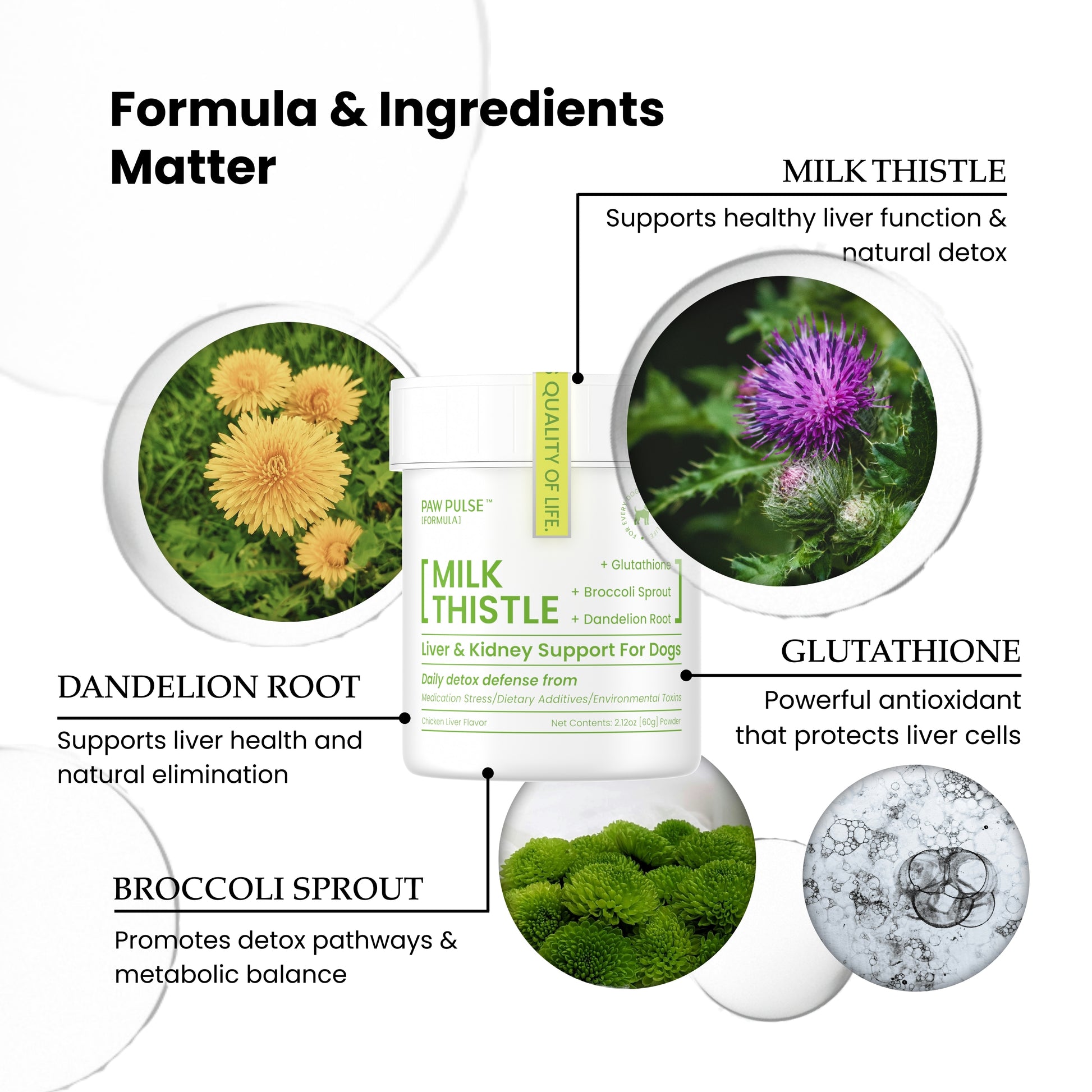 Pawpulse Formula natural ingredients: milk thistle, dandelion root, glutathione, and broccoli sprout for dog liver support.